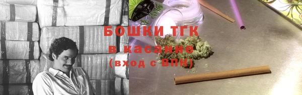 гашик Вяземский