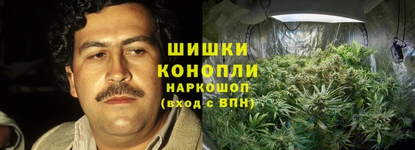 стаф Баксан