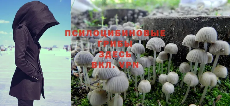 hydra онион  Пыталово  Галлюциногенные грибы Magic Shrooms  где продают  